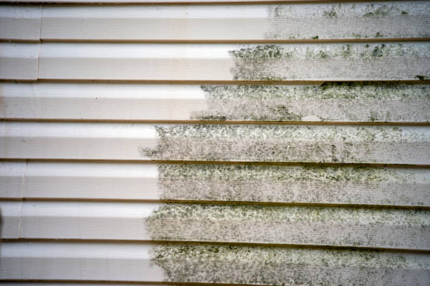 Best Dumpster Rental Services  in Des Moines, WA